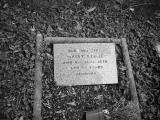 image of grave number 111120